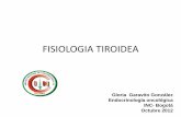 FISIOLOGIA TIROIDEA - Nucleusnucleus.iaea.org/.../FISIOLOGIA_TIROIDEA_Oct_22_del_2012.pdf · FISIOLOGIA TIROIDEA Gloria Garavito González Endocrinología oncológica . INC- Bogotá
