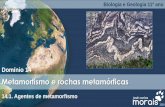 Metamorfismo e rochas metamórficas14.1. Agentes de metamorfismo Metamorfismo Transformações mineralógicas, químicas e estruturais, que ocorrem no estado sólido, em rochas sujeitas