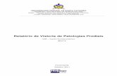 Relatório de Vistoria de Patologias Prediais · 2011-12-08 · Relatório de Vistoria de Patologias Prediais – Página 7 METODOLOGIA Diretrizes utilizadas para levantamento de