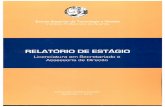RELATÓRIO DE ESTÁGIO - IPGbdigital.ipg.pt/dspace/bitstream/10314/1694/1/Joana Silvestre_1009431.pdf · Direção, no 3.º ano, serve este relatório para expor as minhas atividades
