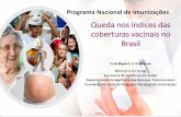 Queda nos índices das coberturas vacinais no Brasil · Programa Nacional de Imunizações Queda nos índices das coberturas vacinais no Brasil Carla Magda A. S. Domingues Ministério