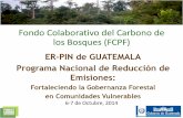 Fondo Colaborativo del Carbono de los Bosques (FCPF)• Uno de 19 países “megadiversos” en el mundo ... 10 SESA: con identificación de actores, plataformas de consulta, opciones