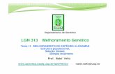 LGN 313 Melhoramento Genético - USP · usp, esalq, lgn313 - melhoramento genÉtico, prof. na tal a. vello melhoramento de espÉcies alÓgamas sementes sÃo formadas por intercruzamentos
