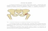 Artrose do Quadril - Sociedade Brasileira de Quadril · epífise proximal do fêmur (epifisiólise), artrite séptica (infecção), displasia do desenvolvimento do quadril ( luxação