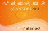 ALANEDBI NCL - Business Intelligence · Combinado con un sistema de Telemetría M2M (3G, Gprs, Wifi, Wimax, Ethernet) y una plataforma de Business Intelligence basada en Qlik. QUÉ