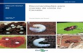 Recomendações para 40 manejo de corós no Cerradoainfo.cnptia.embrapa.br/digital/bitstream/item/201977/1/CT-40.pdf · Schrank e tephrosia. Os ganhos de peso larval foram menores