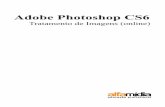 Adobe Photoshop CS6 - WordPress.comPhotoshop 8 Aada Pro UNIDADE 2: Familiarizando-se com o Photoshop CS6 2.1 A interface do Photoshop CS6 O Photoshop CS6 é o software da Adobe específico