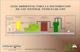 GUIA AMBIENTAL PARA LA DISTRIBUCION DE GAS ...documentacion.ideam.gov.co/openbiblio/bvirtual/019715/...1.1 ANTECEDENTES El plan de masificación del gas natural en Colombia tiene como