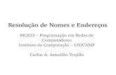 Resolução de Nomes e Endereçosjuliana/cursos/mc833/aula9.pdfResolução de Nomes e Endereços MC833 – Programação em Redes de Computadores Instituto de Computação – UNICAMP