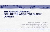 The Groundwater Pollution and Hydrology Course · 2016-06-07 · Converte quimicamente contaminantes perigosos em não-perigosos ou em compostos menos tóxicos, que são mais estáveis,