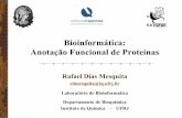 Bioinformática: Anotação Funcional de Proteínas · Bioinformática: Anotação Funcional de Proteínas Rafael Dias Mesquita rdmesquita@iq.ufrj.br Laboratório de Bioinformática