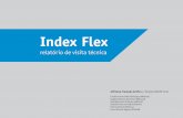 Index Flex - USP · Index Flex > Mecanismos de controle de processo e qualidade aplicados na produção • ficam duas pessoas por máquina (um impressor e um ajudante) monitoran-do