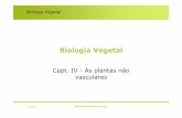 Biologia Vegetal - ULisboamaloucao/Aula 9BV.pdfBiologia Vegetal A reprodução assexuada ou vegetativa é muito frequente nos briófitos. Neste caso, as novas plantas podem desenvolver-se