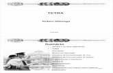 TETRA - Faculdade de Engenharia da Universidade do Portomricardo/02_03/cm/monografias/tetra.pdf · • 4 time-slots fazem 1 frame TETRA: Duração 4 x 14.167 = 56.67 ms • 18 frames