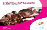 Casamento Prematuro e Gravidez na Adolescência …...4 Análise Estatística sobre o Casamento Prematuro e a Gravidez Precoce em Moçambique: Determinantes e Impactos 5 Figura 1: