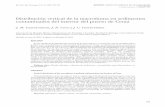 Distribución vertical de la macrofauna en sedimentos ...personal.us.es/jmguerra/pdfs/pdf79.pdf · tes de distribución vertical (Sánchez-Mata, 1996; Garmendia, 1997). A pesar de