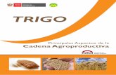 TRIGOagroaldia.minagri.gob.pe/biblioteca/download/pdf/agroeconomia/agroeconomia_trigo.pdfEl trigo forma parte del consumo básico de la población peruana, pero la producción es deficitaria.