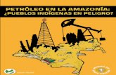 PETRÓLEO EN LA AMAZONÍA - Ambiente y Sociedad...son productoras de petróleo: La cuenca Caguán-Putumayo produce el 2,9% del crudo total del país3, y es considerada una de las más
