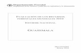 GUATEMALA - Food and Agriculture Organization · Guatemala 2002-2003 (IFN 2002-2003) Documento de trabajo elaborado por: Ramírez y Rodas. Guatemala. A Cobertura forestal 2002 y 2003