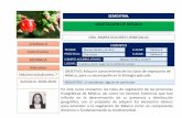 Curriculum brevis - Universidad Michoacana de San Nicolás ...bios.biologia.umich.mx/optativas_2020_2020/botanica/ma_dolores_uribe... · Maestra en Ciencias (Biología) en 1997, Instituto