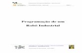 Programação de um Robô Industriallars.mec.ua.pt/public/LAR Projects/BinPicking/2010_LuisRodrigues... · Programação de robô industrial - Fanuc M6i-B 1 Medidas de Segurança
