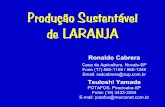 Produção Sustentável de LARANJAbrasil.ipni.net/ipniweb/region/brasil.nsf/e0f085ed5f091b1b852579000057902e...- 6 kg/ha de boro – B (Ulexita) - 40 kg/ha de enxofre – S (Gesso