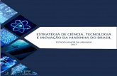 ESTRATÉGIA DE CIÊNCIA, TECNOLOGIA E …...9 Estratégia de Ciência, Tecnologia e Inovação da Marinha do Brasil DESCRIÇÃO Esta publicação está dividida em cinco capítulos