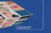 Comportamento Organizacional - Videolivraria · IESDE Brasil S.A. Al. Dr. Carlos de Carvalho, 1.482. CEP: 80730-200 Batel - Curitiba - PR. 0800 708 88 88 Comportamento Organizacional
