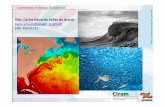 Ocn. Carlos Eduardo Salles de Araujo … · Em águas profundas H/L varia de 0,03 a 0,06 Crescimento da onda cessa quando a velocidade da onda apresenta um valor abaixo da velocidade
