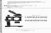 Manual para LABORATORIO FITOPATOLOGIA · FITOPATOLOGIA Centro Nocionoi de Pesquiso de Trigo POSSO Fundo, RS 1993 . EMPRESA BRASILEIRA DE PESQUISA AGROPECUÁRIA - EMBRAPA vinculada