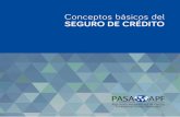Conceptos básicos del SEGURO DE CRÉDITOCon el presente cuadernillo, la Asociación Panamericana de Fianzas (APF-PASA) desea ofrecer una breve descripción del seguro de crédito