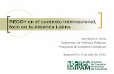 REDD+ en el contexto internacional, foco en la America Latina · 2017-09-19 · resultados que se consigan del PK, para los países que ya cuentan con obligaciones bajo el PK Y que