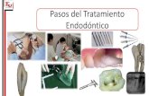 Pasos del Tratamiento Endodónticood.odontologia.uba.ar/uacad/endodoncia/docs/2017/... · Anestesia Troncular Infiltrativa IntraPeriodontal IntraPulpar Anestesia. Aislación Alineación