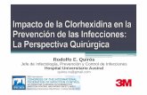 Rodolfo E. Quirós QUIROS.pdf · 2015-02-21 · 6 Quirós R, Maimone S, Acosta De Gnass S, Efrón E, Del Castillo M, De Wouters L, Colombini A, and the IRIQ-Project Group. Argentina.