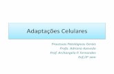 Adaptações Celularesprofbio.com.br/aulas/pato_02.pdf · de suportar o estresse. •Ex.: epitélio respiratório de um fumante – células epiteliais normais colunares e ciliadas