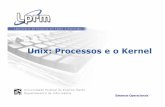 Unix: Processos e o Kernel - Universidade Federal do ... zegonc/material/Sistemas_Operacionais/Unix - Processos... · PDF file Processos no Unix possuem uma hierarquia. Cada processo