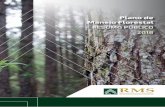 Plano de Manejo Florestal · 4 APRESENTAÇÃO O Resumo Público do Plano de Manejo da RMS do Brasil Administração de Florestas Ltda., reúne e organiza as principais informações