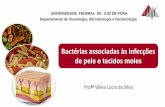 UNIVERSIDADE FEDERAL DE JUIZ DE FORA …©rias...Profª Vânia Lúcia da Silva UNIVERSIDADE FEDERAL DE JUIZ DE FORA Departamento de Imunologia, Microbiologia e Parasitologia Bactérias