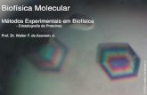 Métodos Experimentais em Biofísica · Biofísica Molecular Métodos Experimentais em Biofísica ... se 1-2 L da solução da macromolécula biológica sobre a lamínula de vidro.