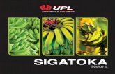SIGATOKA - Online · SIGATOKA Negra. GRUPO UPL. Somos un grupo multinacional de empresas agrícolas, dedicado al desarrollo, mercadeo y comercialización de productos para la protección
