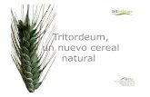 Tritordeum, un nuevo cereal natural · trigo duro AABBy una cebada silvestre HH, siguiendo los pasos que la naturaleza dio hace mas de 10.000 años cuando creó los ... • Cinco