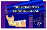 CRESCIMENTO CRANIOFACIAL - Alexandre Moro Ortodontiamoroortodontia.com.br/ortodontia/crescimentofacial.pdf · 2013-01-22 · Ossificação endocondral B O tecido mesenquimal original