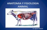 ANATOMIA Y FISIOLOGIA ANIMAL - UDE · Medial . Lateral . CABEZA . CUELLO . CRUZ LOMO ANCA TÓRAX MIEMBRO TORÁXICO (ANTERIOR) MIEMBRO PELVIANO (POSTERIOR) Esqueleto axial • Cráneo