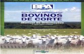 Boas Práticas Agropecuárias BOVINOS DE CORTE...I - QAP C O primeiro Manual de Boas Praiticas Agropecuárias Bovinos de Corte foi editado pela Câmara Setorial da Bovinocultura e
