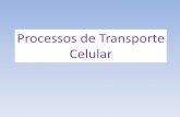 Processos de Transporte Celulartulo-2...Processos de Transporte Celular Science, vol. 175, p. 720-731, fev. 1972. MEMBRANA PLASMÁTICA •Apresenta uma bicamada lípídica entre as