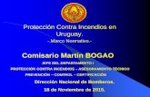 Comisario Martin BOGAO - AUPCI...Sobre la base del Decreto Estadual Nº 46.076/01 del Estado de San Pablo – Brasil, se crea el Decreto 222/10, posteriormente se fusiona con el Decreto