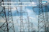 Transformação dos negócios de distribuição e os desafios ...€¦ · Fonte: Pesquisa SAP e Anuário Estatístico de Energia Elétrica 2013 - EPE SAP para Utilities ... Sales