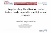 Regulación y fiscalización de la industria de cannabis medicinal en … · 2019-10-17 · Regulación y fiscalización de la industria de cannabis medicinal en Uruguay Farmacopea