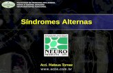 Considerações Anatomoclínicas - Síndromes Alternasgerardocristino.com.br/aulas/C2_Sd_Alterna.pdf · 2011-11-04 · Relato do Caso Paciente M.T.S., 56 anos, sexo feminino, natural