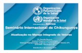 Seminário Internacional de Chikungunya … · Dengue) 2 CD44.R14. GT – Dengue 2007 Entrada em vigencia RSI (2005) 2007 CSP27.R15 Vigilancia entomológica y control Vigilancia Epidemiológica